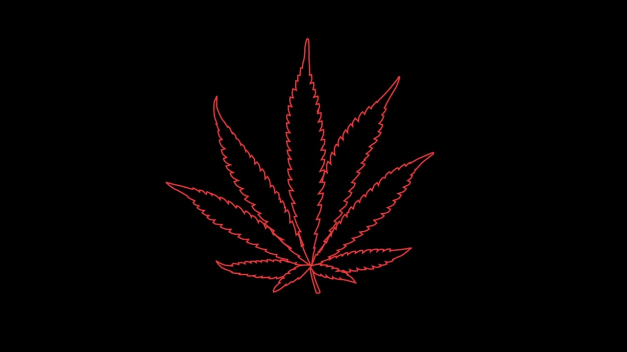 red outline of a marijuana plant